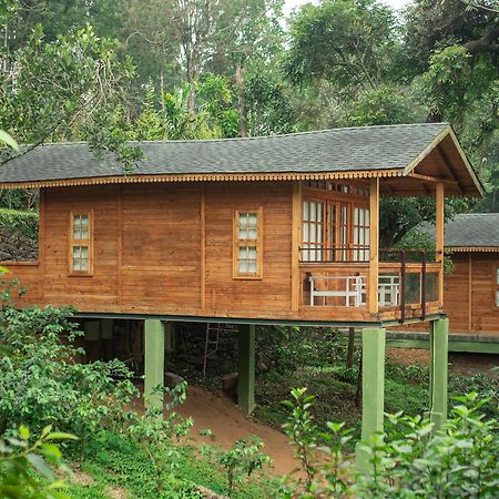 Misty Mountain Experience By Perfect Stays Pīrmed Esterno foto
