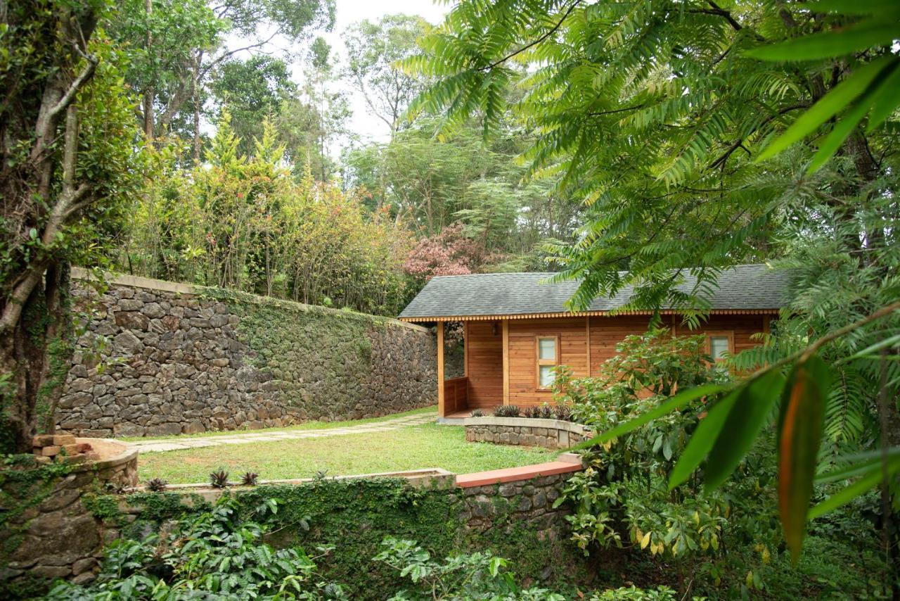 Misty Mountain Experience By Perfect Stays Pīrmed Esterno foto