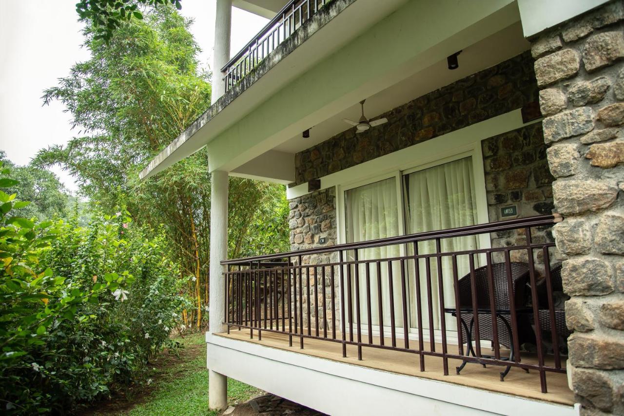Misty Mountain Experience By Perfect Stays Pīrmed Esterno foto