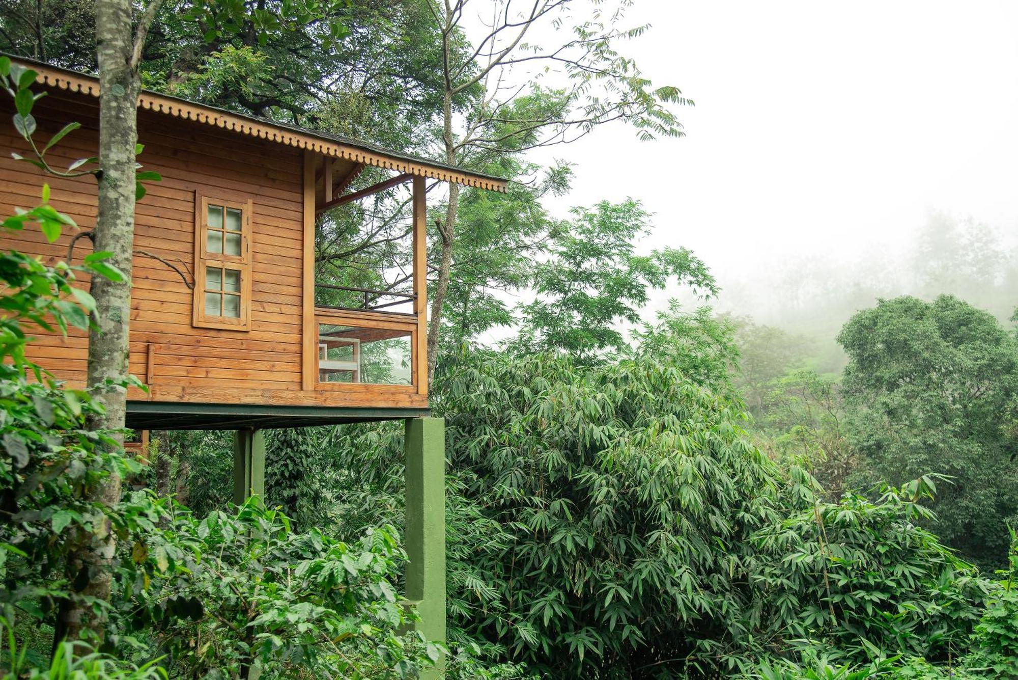 Misty Mountain Experience By Perfect Stays Pīrmed Esterno foto