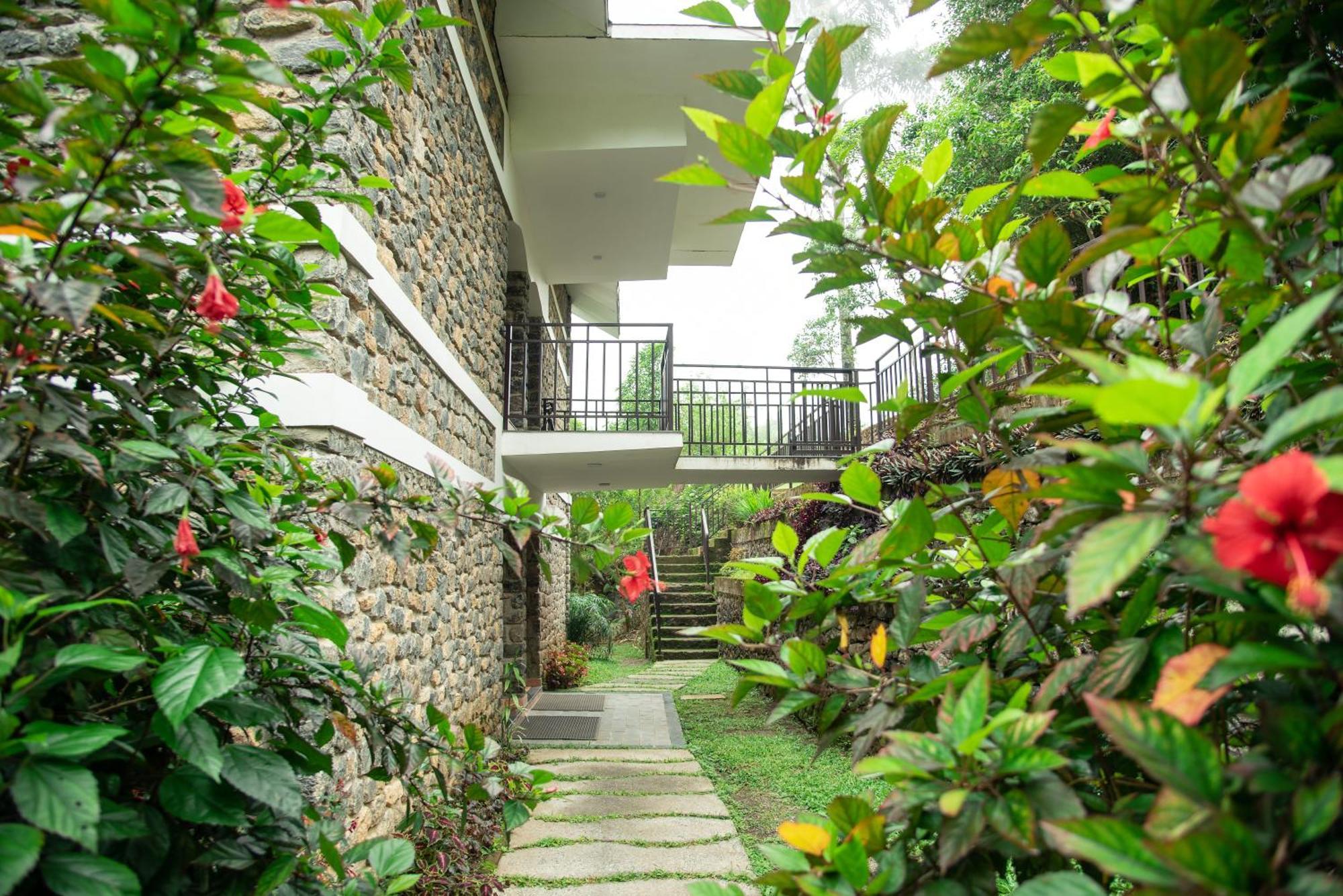 Misty Mountain Experience By Perfect Stays Pīrmed Esterno foto