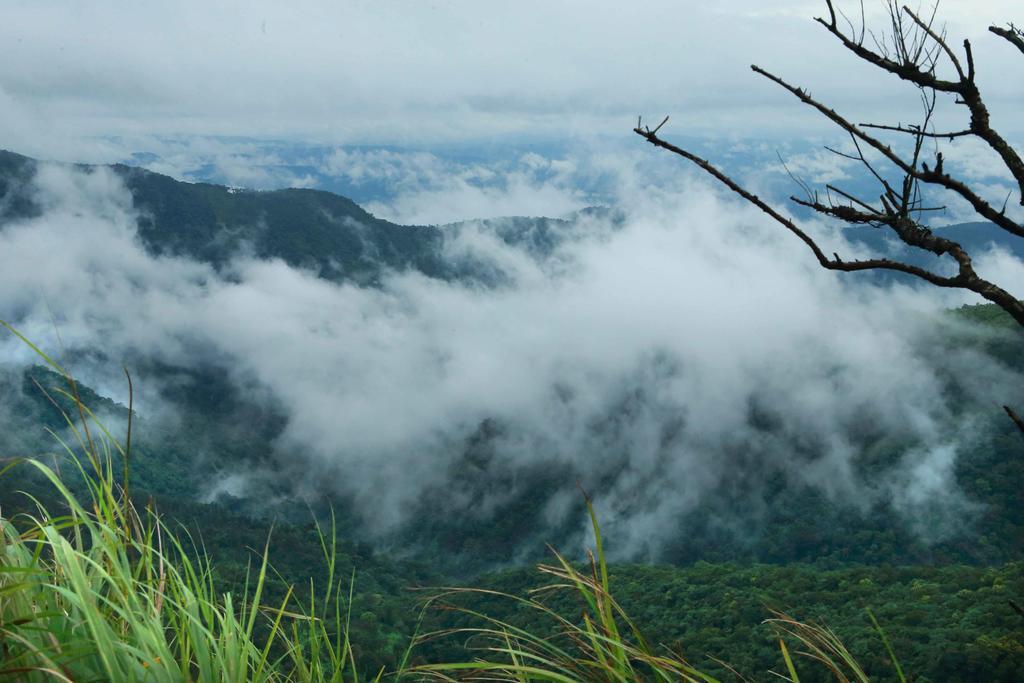 Misty Mountain Experience By Perfect Stays Pīrmed Esterno foto