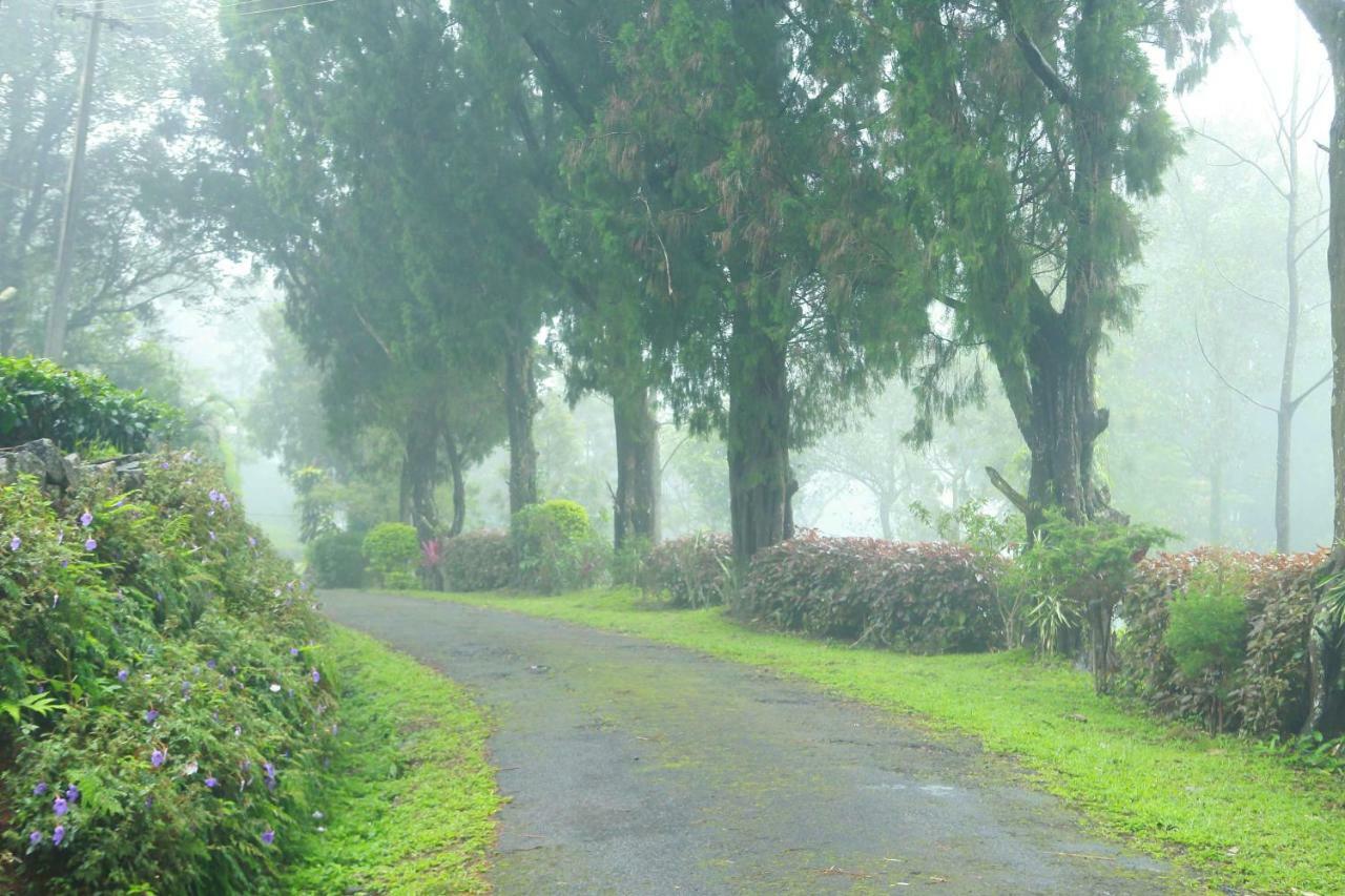 Misty Mountain Experience By Perfect Stays Pīrmed Esterno foto